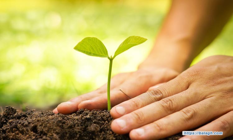 ثقافة العطاء.. ثقافة الحياة الأجمل